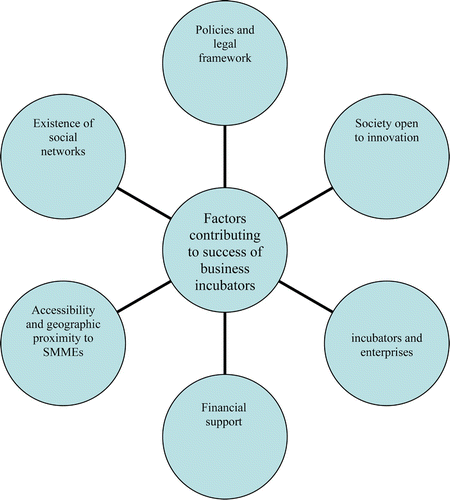 Figure 2: Factors contributing to the success of business incubators