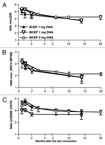 Figure 7. Persistence of humoral responses in macaques vaccinated via the intradermal and the intramuscular route. The animals were monitored for 14–20 mo after the last vaccination. Humoral immune responses were measured in the macaques that received DNA via the intradermal (n = 3) and the intramuscular route (n = 5, with 3 macaques receiving 1 mg DNA and 2 macaques receiving 2 mg DNA). (A) Endpoint binding Ab titers to SIVmac239, (B) NAb titers to SIVmac_35014 (M766) and (C) NAb to the heterologous SIVsmE660_CG7G (tier 1A-like) are shown as log of reciprocal dilution of plasma that produces a 50% reduction in signal compared with wells receiving no sample.