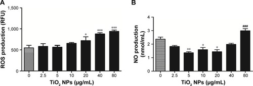 Figure 4 Effects of TiO2 NPs on the total ROS and NO production.Notes: (A) Total ROS generation. (B) NO production. RAW 264.7 cells were incubated with indicated concentrations of TiO2SA20(−) NPs for 24 hours. Then cells were washed twice and incubated with H2DCF-DA (10 µmol/L) for 30 minutes. Cells were washed and analyzed using a multimode microplate reader DTX-880. Untreated cells were considered as control in the experiment. Then, intracellular NO production was measured by Griess reagent system (Promega Corp.) using ELx800 microplate reader (BioTek, Thermo Scientific) at 540 nm. Data are presented as the mean ± standard error of mean; *P<0.05, **P<0.01, and ***,###P<0.001 indicate significant differences when tested with ANOVA. Tukey’s test was used for post hoc tests.Abbreviations: TiO2, titanium dioxide; NO, nitric oxide; NPs, nanoparticles; ROS, reactive oxygen species.