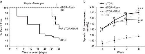 Figure 1. Survival curves of dTGR, dTGR treated with resveratrol, dTGR treated with nicotinamide and SD rats (a). The log rank test was used to compare the Kaplan–Meier survival curves with each other. *p<0.05 compared with dTGR; ¤p<0.05 compared with dTGR+Resveratrol; #p<0.05 compared with SD. Graph showing the effects of resveratrol and nicotinamide on systolic blood pressure development (b). Resveratrol significantly decreased systolic blood pressure compared with dTGR. dTGR denotes untreated double transgenic rats harboring human renin and angiotensin genes; dTGR+Resv denotes double transgenic rats harboring human renin and angiotensin genes treated with resveratrol 800 mg/kg; dTGR+NAM denotes double transgenic rats harboring human renin and angiotensin genes treated with nicotinamide 400 mg/kg; SD denotes normotensive Sprague–Dawley rats. Means±SEM are given, n=6–17 in each group. *p<0.05 compared with dTGR; ¤p<0.05 compared with dTGR+Resveratrol; #p<0.05 compared with SD.