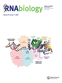 Cover image for RNA Biology, Volume 18, Issue 11, 2021