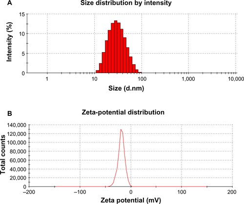 Figure S2 (A and B) DLS patterns. (A) Size distribution of bare AgNPs; (B) zeta-potential analysis of bare Ag nanoparticles.Abbreviation: DLS, dynamic light scattering.