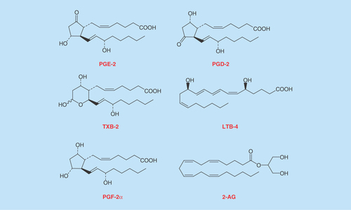 Figure 1.  Representative structures of lipids.PGE2 and PGD2 are structural isomers of each other. 2-AG is an endocannabinoid known to be regulated in neuropathic pain. TXB2 and LTB4 are known proinflammatory mediators which play a significant role in nerve root dysfunction.