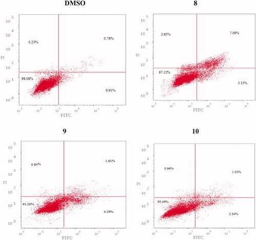 Figure 5. Effect of compounds 8–10 on the percentage of annexin V-FIT positive staining in DU-145 cells on exposure for 24 h. The cells were treated with DMSO as control.
