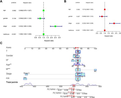 Figure 5 Univariate (A) and multivariate COX (B) analyses between overall survival rate and various clinicopathological parameters. (C) Nomogram for both clinicopathological factors and prognostic ferroptosis-related lncRNAs (*p <0.05; **p <0.01; ***p <0.001).