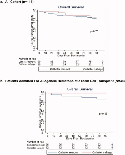 Figure 3. Overall survival among patients who underwent catheter removal and salvage: (a) all cohort (n = 115). (b) patients admitted for allogeneic hematopoietic stem cell transplant (n = 38).