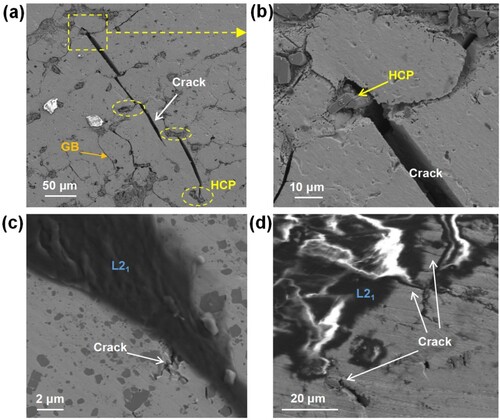 Figure 13. SEM images of the lateral surface of the tensile fractured samples. (a) Corrosion of the 15s sample demonstrates that the crack terminates or changes direction after encountering the HCP phase. (b) Enlarged image of Figure a clearly shows that the HCP phase blocks the crack extension. (c, d) Large-size L21 phase blocks crack extension.