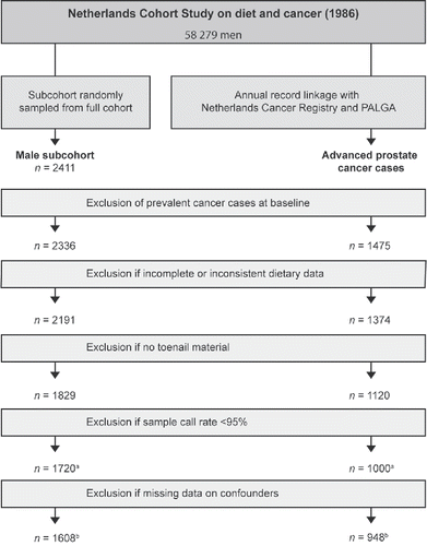 Figure 1. Flow diagram of subcohort members and advanced prostate cancer cases for 20.3 years of follow-up; Netherlands Cohort Study on diet and cancer (1986–2006). (a) Analysis on the association between selected genetic variants and advanced prostate cancer risk including 1,720 subcohort members and 1,000 advanced prostate cancer cases. (b) Analysis on the interaction between selected genetic variants and acrylamide intake on advanced prostate cancer risk including 1,608 subcohort members and 948 advanced prostate cancer cases.
