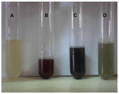 Figure 2 Optical photograph of colloidal solution of (A) Trianthema decandra root extract, (B) AgNO3 solution reduced with 5 mL of T. decandra extract, (C) AgNO3 solution reduced with 10 mL of T. decandra extract, and (D) AgNO3 solution reduced with 15 mL of T. decandra extract.