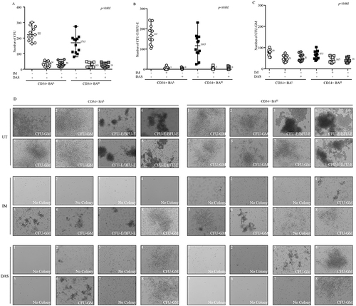 Figure 3 High BCR-ABL levels reduce the CD34+ clonogenicity and affect their responsiveness to TKIs. (A–C) Scatter plots show number of total CFU (A), CFU-E/BFU-E (B) and CFU-GM (C) obtained from short-term culture of CD34+ cells collected from CML patients expressing different BCR::ABL1/GUSIS levels (CD34+BAL, n=11) (CD34+BAH, n=12). Anova One-way was used to calculate statistical significance. (D) Pictures displaying colonies grown in methylcellulose medium. Each 35 mm dish was subject to acquisition of 8 representative sections by Axio Observer Inverted Microscope.Abbreviations: UT, untreated; IM, Imatinib; DAS, Dasatinib.