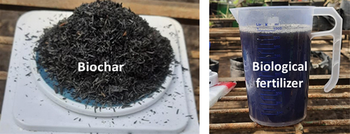 Figure 2. Biochar and biological fertilizer for rice’s treatments.