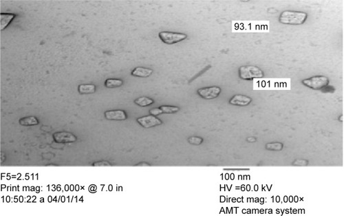 Figure 3 Transmission electron micrograph of the rifampicin nanosuspension (F5) with magnification 10,000×.Abbreviations: mag, magnification; in, inch.