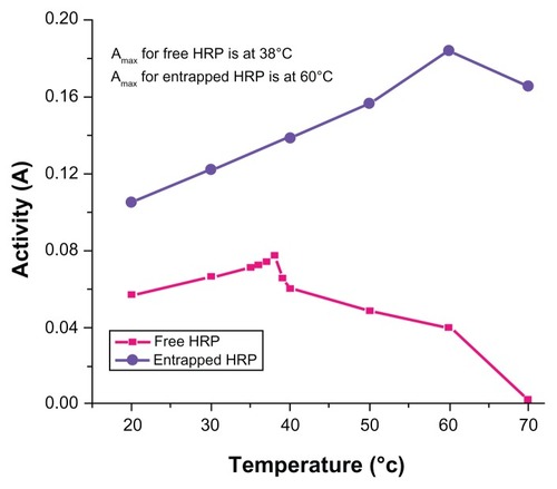 Figure 5 Temperature-dependent enzymatic activity of horseradish peroxidase (HRP; free and entrapped) during oxidation of o-dianisidine by H2O2 in phosphatebuffer (pH = 7.2) measured in the range of 20°C–70°C.