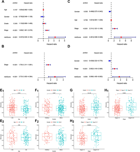 Figure 3 The relationship between prognostic value and clinicopathological characteristics of the 7-gene gene signature in TCGA (A, B, E1,F1, G and H1) and ICGC (C, D, E2,F2 and H2) datasets. (A and C). Univariate Cox regression analysis of OS-associated factors (age, gender, grade and stage) in HCC patients. (B and D). OS-associated factors in HCC were validated using multivariate Cox regression analysis. (E1–H2). Association between risk score and clinicopathological features, including age (E1 and E2, red: age ≤ 65, blue: age > 65), sex (F1 and F2, red: female, blue: male), grade (G, red: G1-2, blue: G3-4) and stage (H1 and H2, red: stage I–II, blue: stage III–IV).