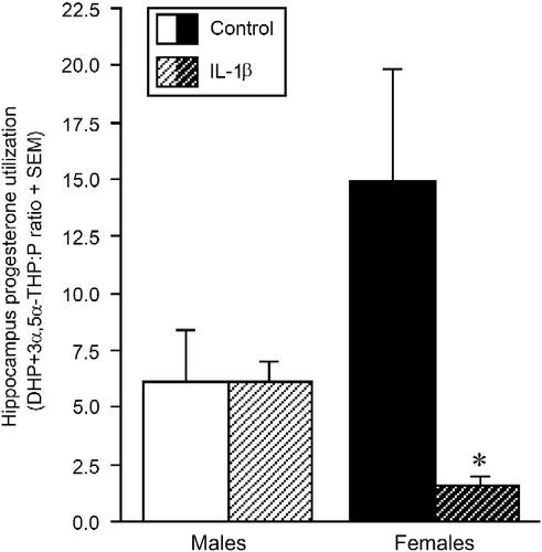 Figure 4.  Progesterone utilisation in the hippocampus. Hippocampus progesterone (P) utilisation (ratio of the P metabolites, DHP+3α,5α-THP, to the prohormone, P) among pubertal male and female offspring exposed prenatally to IL-1β (1 μg/rat daily, males n = 9, females n = 8) or vehicle (0.9% saline, males n = 12, females n = 12) on days 15–21 of gestation. * Indicates significant interaction in two-way ANOVA, wherein IL-1β-exposed females differ from control females, p ≤ 0.05.