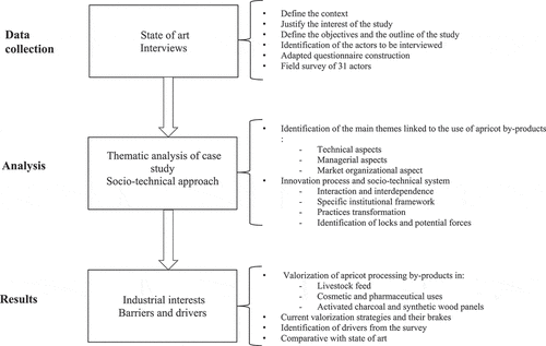 Figure 3. Our study stages to identify drivers and barriers to valorize apricot pit by-products