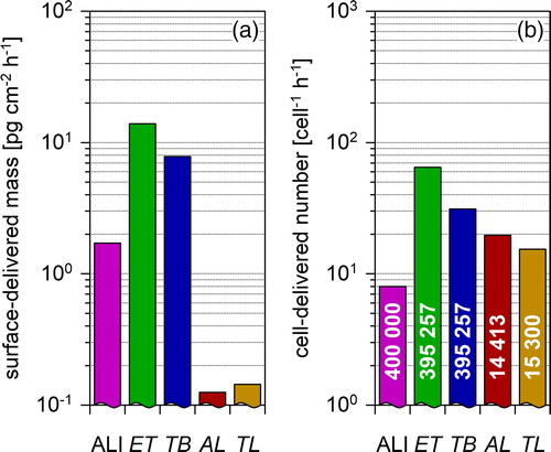 Figure 6. Surface-delivered particle mass (a) and cell-delivered particle number (b) at the ALI and in the lung regions. The airborne exposure concentration is 1 mg m−3 in (a) and 106 cm−3 in (b). A lognormal emission distribution is applied (see Table 5). Part (b) compares the load for cells in different lung regions. The corresponding cell counts (cells per cm2) are indicated in the columns. For the ALI, the size of A549 cells is assumed, for ET and TB region the cell size is assumed to be identical with type-II pneumocytes. For the AL region the size of type-I pneumocytes and for TL the weighted average of type-I and type-II cells is assumed (Table 4).