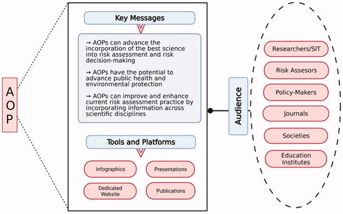Figure 1. A summary of key messages, tools and platforms needed to effectively communicate and engage target audience to build and use AOPs. SIT: Scholars-in-training. The figure is created with Biorender.com.
