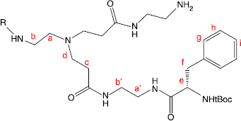 Scheme 1 Conjugation of phenylalanine to G0-PAMAM dendrimer.