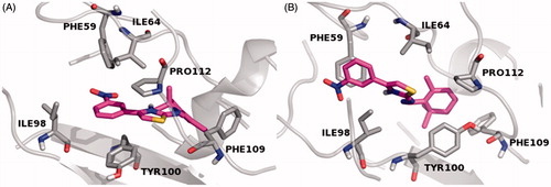 Figure 1. MD simulation last frame of both E (A) and Z (B) isomers of compound 9 and their hydrophobic contacts into the FabZ binding site. The E–Z isomers are rendered as carbon-pink sticks, the pocket amino acids are labeled as carbon-gray sticks and the target is described as gray cartoon. All non-carbon atoms are colored according to atom types. For the colored version of this Figure, please refer to the online article.