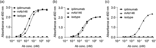 Figure 1. Ipilimumab and mAb146 bound to human (a), monkey (b), and murine (c) CTLA-4 measured by ELISA. A 96-well plate was coated with hCTLA-4-6xHis monomer (1.0 μg/mL), cynomolgus monkey CTLA-4-6xHis monomer (0.5 μg/mL) or mouse CTLA-4-6xHis monomer (0.5 μg/mL) at 4◦C. After incubation with the antigens, the binding of Ipilimumab and mAb146 was detected by addition of HRP-conjugated goat anti-human IgG antibody