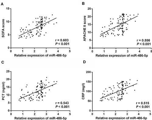 Figure 2 Correlation analysis of miR-486-5p level with disease severity and inflammatory factor in sepsis. Spearman correlation analysis demonstrated that the relative level of miR-486-5p in serum of sepsis patients was positively correlated with SOFA score (A), APACHE II (B), PCT (C), and CRP (D).