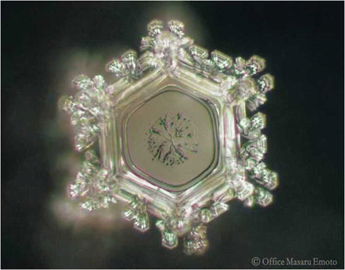 Figure 6 Zamzam water crystal.[ Citation 26 ] (Color figure available online.)