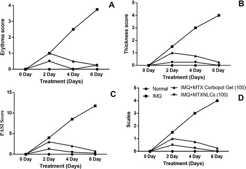 Figure 6 Effect of MTXNLCs on morphological features in IMQ-induced psoriasis in mice. (A) Erythema score; (B) thickness score; (C) PASI score; (D) scaling score. Post-test-Kruskal-Wallis test. p<0.05 was considered statistically significant.