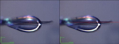 Figure 4. Seeing is not believing. A crystal is shown after an X-ray centring procedure; visual inspection suggests that the crystal is not centred as the beam appears to be above the crystal (left). However, the collection of four diffraction images over the full rotation range confirmed that the crystal remained in the beam over the full rotation range. Fortunately, in this case part of the crystal extends beyond the sample support where refractive and reflective effects are diminished, showing the true position of the crystal (right). Using this as a reference (red line), it can be seen that the crystal is indeed correctly centred to the beam position, demonstrating a 10 µm optical vertical offset.