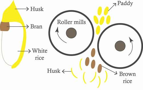 Figure 1. Husking of paddy grains