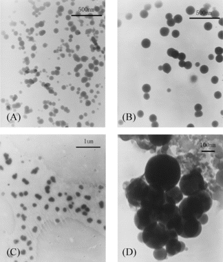 Figure 1 TEM images of lysozyme-loaded chitosan nanoparticles. (A) CS: 1 mg/ml, 5.5 × 104; TPP: 4 mg/ml. (B) CS: 1 mg/ml, 7.0 × 104; TPP: 4 mg/ml. (C) CS: 2 mg/ml, 5.5 × 104; TPP: 3 mg/ml. (D) CS: 2 mg/ml, 5.5 × 104; TPP: 4 mg/ml.