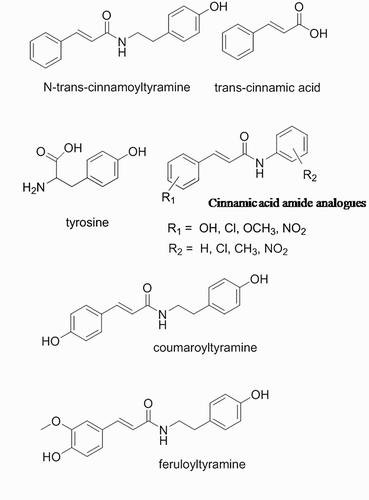 Figure 2. Analogs of N-trans-cinnamoyltyramine.