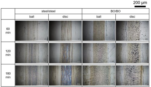 Figure 14. Optical micrographs of the ball and the disc wear tracks at different times during the tests with steel–steel and BO–BO tribopairs.