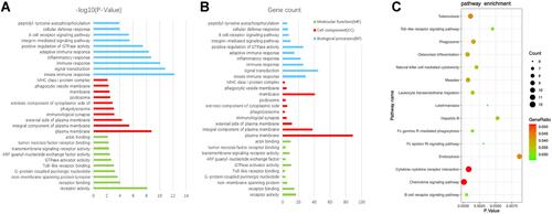 Figure 3 The function analysis of communal DEGs. (A) The GO enrichment analyses of communal DEGs with P-value and (B) gene count. (C) The pathway analysis of communal DEGs via KOBAS 3.0.