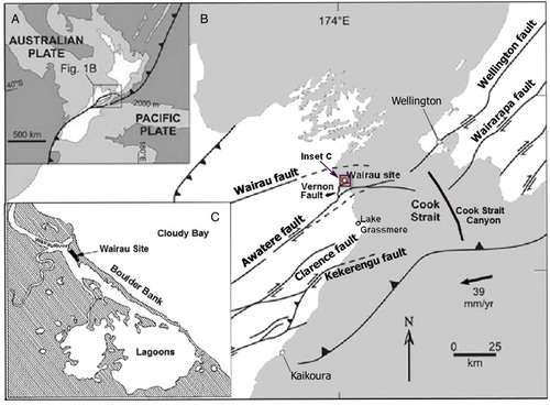 Figure 1. Cook Strait Faults (after Benson et al. Citation2001) and the location of the Wairau archaeological site. Hikurangi Trough shown by line with black triangles.