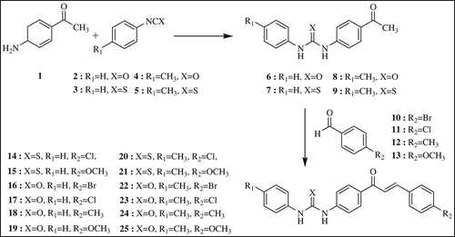 Scheme 1. Synthesis of phenylurea/phenylthiourea-substituted chalcone derivatives.