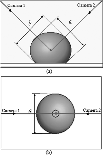 Figure 2 (a) front view: acquire two perpendicular images of tangerine and calculation of b and c diameters; top view: acquire one image with camera 1 and calculation of a diameter.
