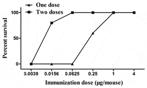 Figure 2. Survival of mice immunized with BHc vaccine. Mice alive after challenge with a dose of 1000 LD50 of BoNT/B 3 weeks after one injection or 10,000LD50 of BoNT/B 3 weeks after two injections.