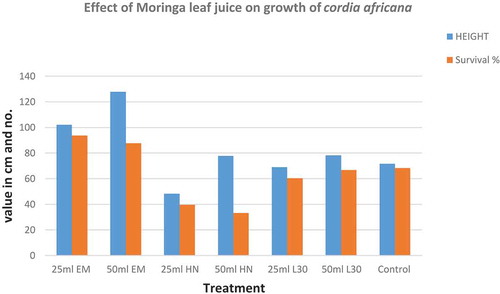 Figure 3. Effect of moringa leaf extract on Cordia africana tree height and survival rate in the field condition (EM: seedling emergency, HN: half nursery life span, L30 = left 30 days for transplanting to the field)