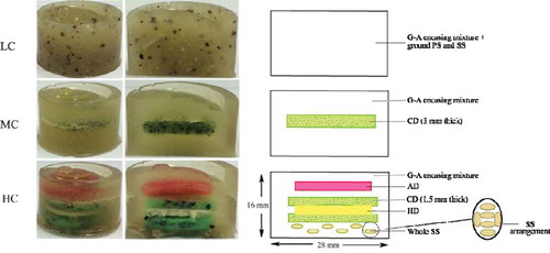 FIGURE 1 Photographs and diagrams of the LC, MC, and HC samples showing the layered arrangement. LC: low complexity; MC: medium complexity; HC: high complexity; G-A: gelatine-agar; CD: chewy disc; AD: agar disc; HD: hard disc; SS: sunflower seeds; PS: poppy seeds; The samples are colored for distinction of layers, they were not colored during any of the experiments referred to in this text.