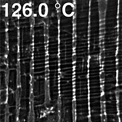 Figure 4. Low-energy electron microscopy 20 µm field-of-view image at the phase transition of BaTiO3 showing the appearance of transient stripe domains (horizontal lines). The vertical stripes correspond to 180° domains. Reprinted from [Citation63], with the permission of AIP Publishing.