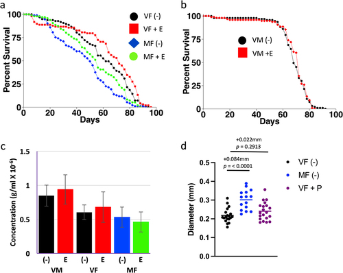 Figure 1. Assays of etomoxir and pioglitazone. (a-c) Effect of 50 µM etomoxir on life span and food intake. (a) Female life span. (b) Male life span. Statistical summary for life span presented in Table 1, Experiment replicate 1. (c) Female and male EXQ food intake assay. Bars indicate average and standard deviation of 4 replicates. Statistical assay is unpaired, two-sided t test, and the p value for significance with one comparison is p = 0.05. No significant differences were observed between minus-drug and etomoxir-treated groups. (d) Effect of mating and pioglitazone on virgin female midgut diameter. Statistical summary for ANOVA and pair-wise comparisons presented in Table S1; the corrected p value for significance is p = 0.05. The change in mean maximum midgut diameter between samples and the p value for significance is presented above the plots. VF, virgin female. MF, mated female. VM, virgin male. (-), no drug. E, 50 µM etomoxir. P, 200 µg/ml pioglitazone.