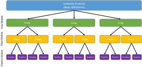 Figure 1. Umbrella Protocol Framework. Initially, an umbrella protocol could be developed with basic definitions relevant for all potential N2O emission practices related to nitrogen. Subsidiary modules could be developed for specific crops, and for specific places where those crops are grown. Further subsidiary modules could be developed for specific agricultural management practices used with specific crops at specific locations.