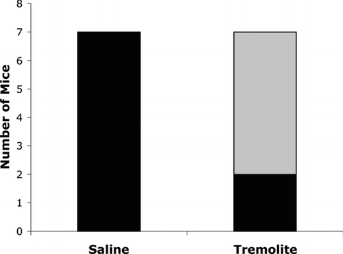 FIG. 3 Antibodies to dsDNA. Serum samples from the saline and tremolite-instilled mice were assayed at 7 months for antibodies to dsDNA by ELISA. Five of the 7 tremolite-instilled mice had antibodies to dsDNA, whereas none of the saline treated animals were positive for anti-dsDNA. Due to the small number of samples analyzed (n = 7), this difference was not statistically significant using two-way ANOVA followed by Bonferroni's correction for multiple pair-wise mean comparisons.