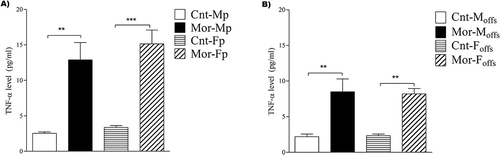 Figure 2. Evaluation of the mean TNF-α values in the experimental groups. Hippocampus TNF-α levels were significantly increased in both male and female parents compared to those in control parents due to chronic use of morphine (A). Moreover, both male and female offspring of morphine-exposed parents showed a significant increase in hippocampus TNF-α levels compared to those of control offspring (B). Two-way ANOVA followed by Bonferroni post hoc tests was used. A value of P < 0.05 was considered to indicate statistical significance. All data are presented as the mean ± SEM; n = 5 for all groups except the female parental groups, where n = 6; Cnt-MP: male control parents; Cnt-FP: female control parents; Mor-MP: male morphine-exposed parents; Mor-FP: female morphine-exposed parents; Cnt-Moffs: male offspring from control parents; Cnt-Foffs: female offspring from control parents; Mor-Moffs: male offspring from morphine-exposed parents; Mor-Foffs: female offspring from morphine-exposed parents.