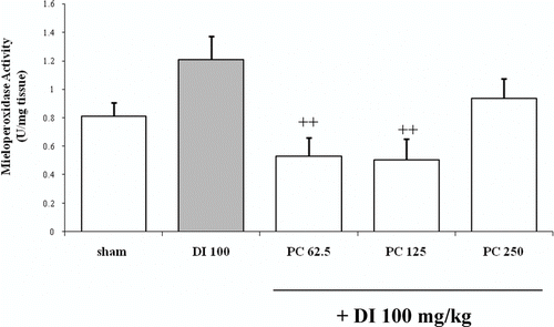 Figure 3.  Effects of administration of different doses of the dry residue from ethanol extract of P. carpunya on myeloperoxidase activity in gastric damage induced by diclofenac treatment. + +, P < 0.01 versus diclofenac group.