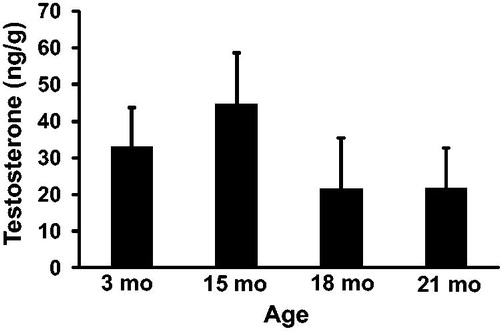 Figure 4. Intra-testicular testosterone concentrations. Testosterone concentration was not significantly different between rats at 3, 15, 18, and 21 months of age. n = 5 animals per group at 3 and 21 months; n = 3 animals per group at 15 and 18 months.