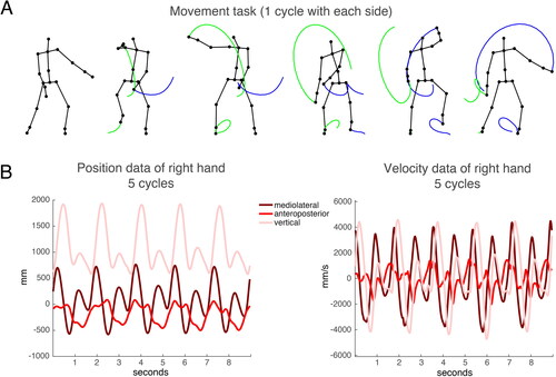 Figure 1. (A) Movement task as trace illustration (one cycle with the right side followed by one cycle with the left side); (B) Example of position data in three dimensions of the right hand (five cycles). (C) Example of velocity data in three dimensions of the right hand (five cycles).