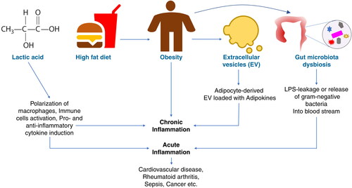 Figure 1. Factors regulating inflammation and its effect on host physiology.