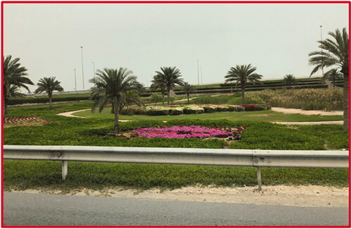Figure 6. Restoration was carried out in some parts of the country and the ultimate objective is increasing green spaces.